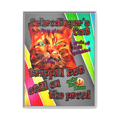 schrodinger's cat - framed canvas art (rainbow split)