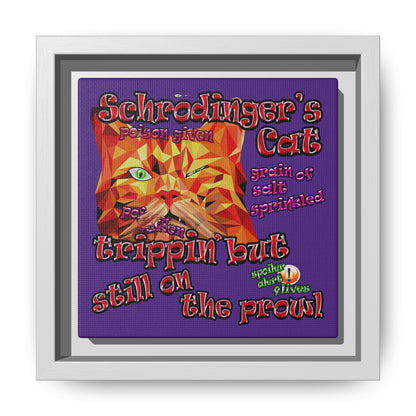 schrodinger's cat - framed canvas art (purple)