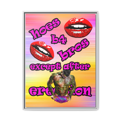 hoes b4 bros - framed canvas art (color blur)