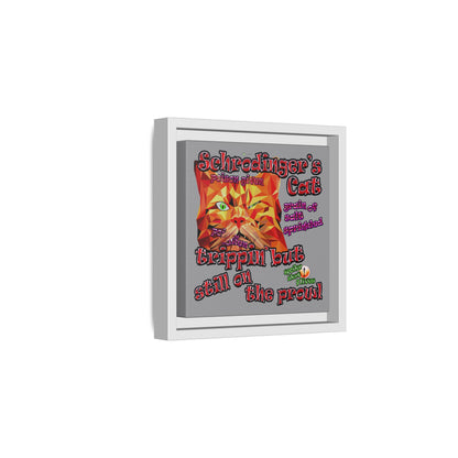 schrodinger's cat - framed canvas art (grey)