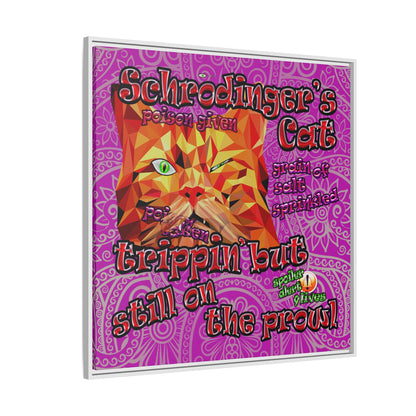 schrodinger's cat - framed canvas art (pink swirl)