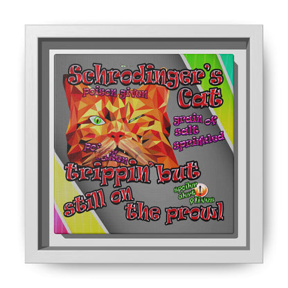schrodinger's cat - framed canvas art (rainbow split)