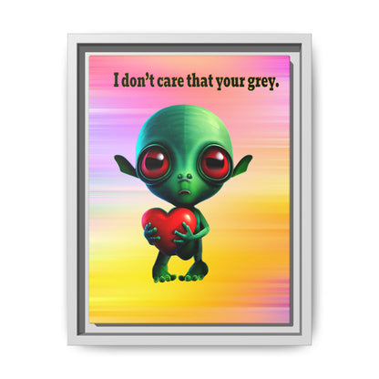 I don't care that your grey - framed canvas art (color blur)