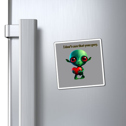 I don't care that your grey - Magnets - (grey)