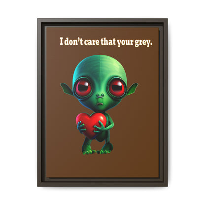 I don't care that your grey - framed canvas art (brown)