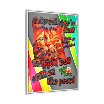 schrodinger's cat - framed canvas art (rainbow split)