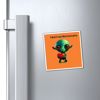 I don't care that your grey - Magnets - (crusta)