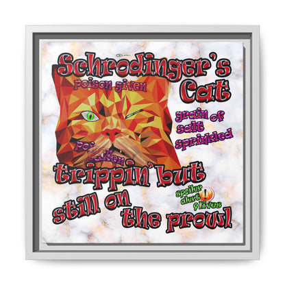 schrodinger's cat - framed canvas art (white marble)