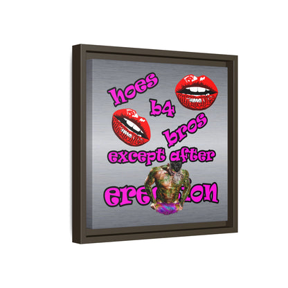 hoes b4 bros - framed canvas art (brushed nickel)
