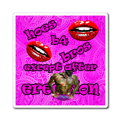 hoes b4 bros - Magnets - (pink swirl)
