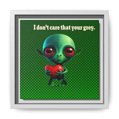I don't care that your grey - framed canvas art (logo green)