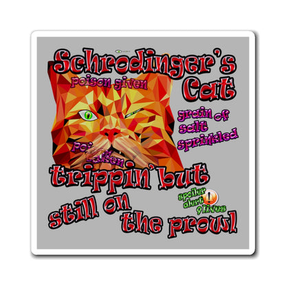 schrodinger's cat - Magnets - (light grey)