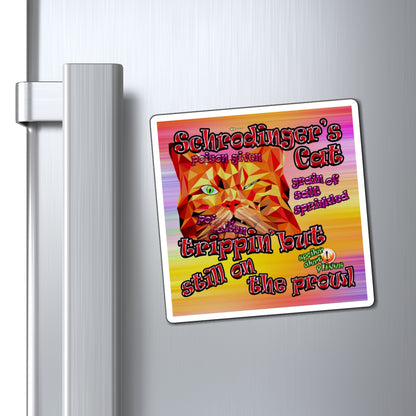 schrodinger's cat - Magnets - (color blur)