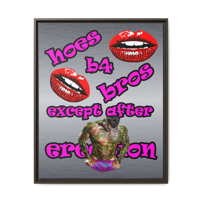 hoes b4 bros - framed canvas art (brushed nickel)