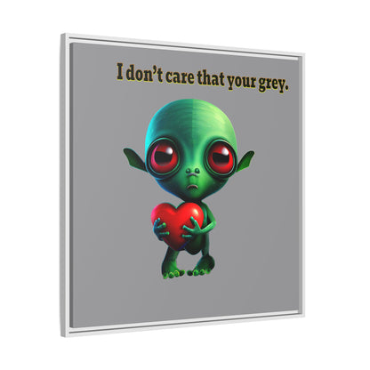 I don't care that your grey - framed canvas art (grey)