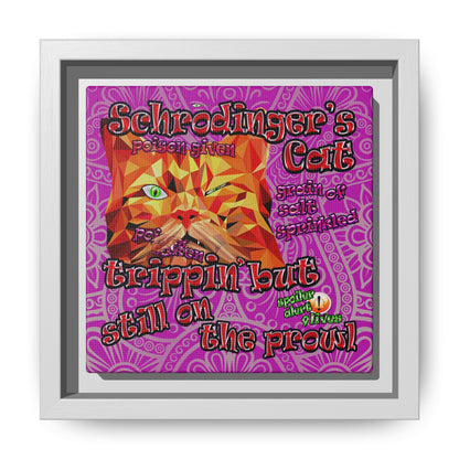 schrodinger's cat - framed canvas art (pink swirl)