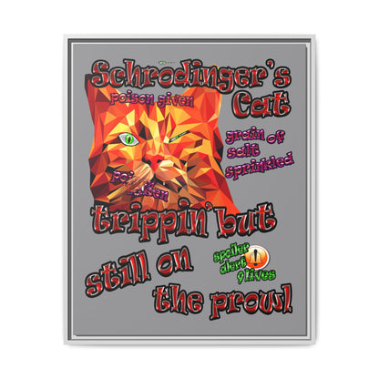 schrodinger's cat - framed canvas art (grey)