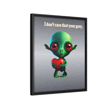 I don't care that your grey - framed canvas art (brushed nickel)