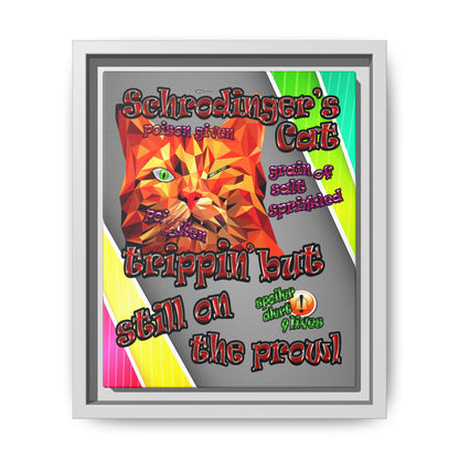schrodinger's cat - framed canvas art (rainbow split)