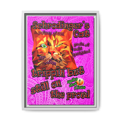 schrodinger's cat - framed canvas art (pink swirl)