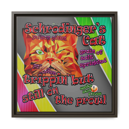 schrodinger's cat - framed canvas art (rainbow split)
