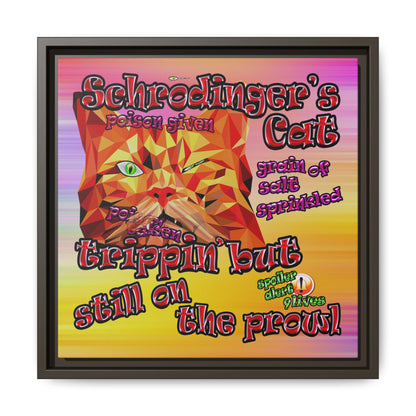 schrodinger's cat - framed canvas art (color blur)