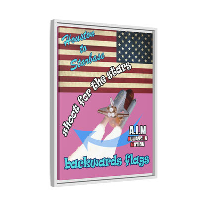 shoot for the stars - framed canvas art (light pink)