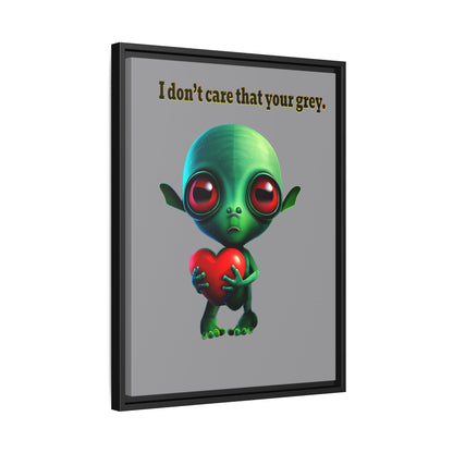 I don't care that your grey - framed canvas art (grey)