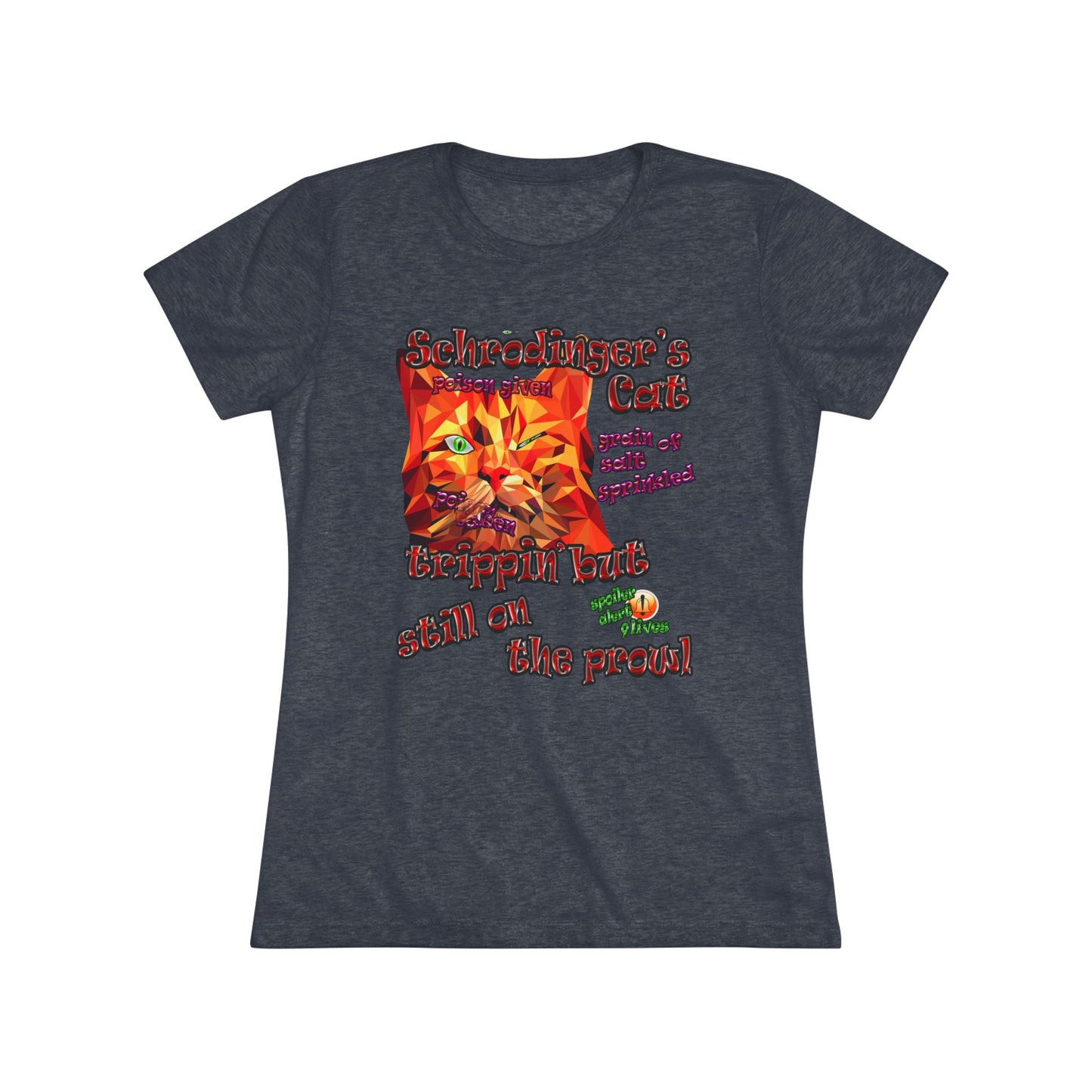 schrodinger's cat - Women's Triblend Tee