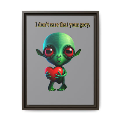 I don't care that your grey - framed canvas art (grey)
