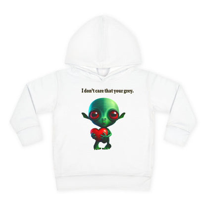 I don't care that your grey - Toddler Pullover Fleece Hoodie