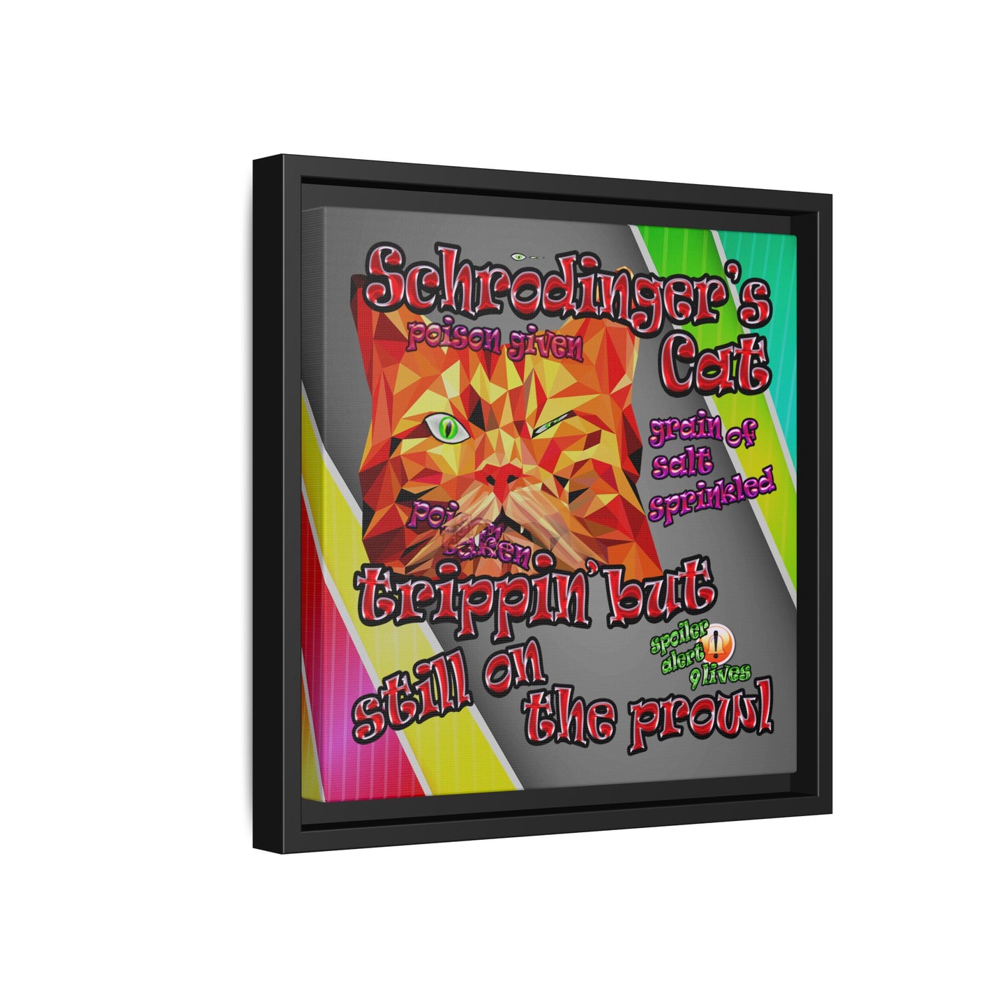 schrodinger's cat - framed canvas art (rainbow split)