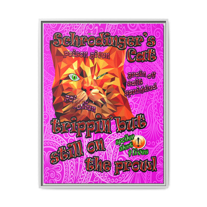 schrodinger's cat - framed canvas art (pink swirl)
