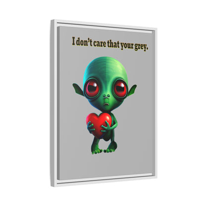 I don't care that your grey - framed canvas art (light grey)