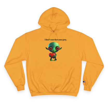 I don't care that your grey - Champion Hoodie