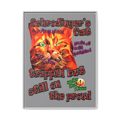 schrodinger's cat - framed canvas art (grey)