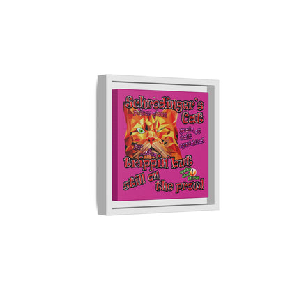 schrodinger's cat - framed canvas art (pink)