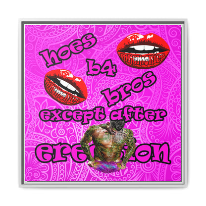 hoes b4 bros - framed canvas art (pink swirl)