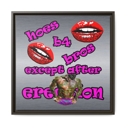 hoes b4 bros - framed canvas art (brushed nickel)