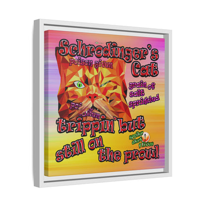 schrodinger's cat - framed canvas art (color blur)