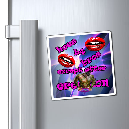 hoes b4 bros - Magnets - (grey-pink wave)