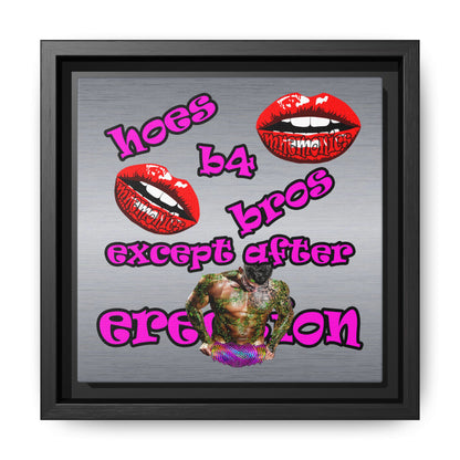 hoes b4 bros - framed canvas art (brushed nickel)