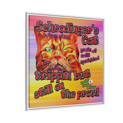 schrodinger's cat - framed canvas art (color blur)