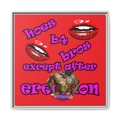 hoes b4 bros - framed canvas art (red)