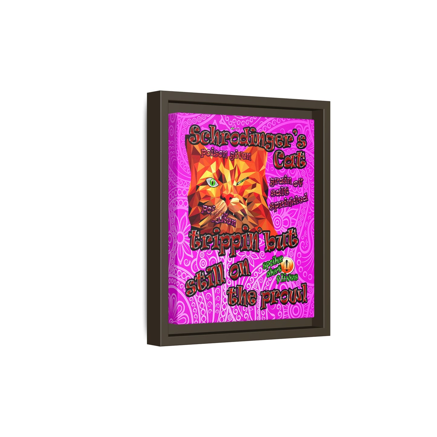 schrodinger's cat - framed canvas art (pink swirl)