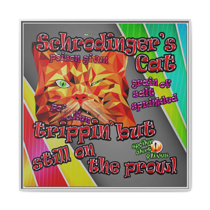 schrodinger's cat - framed canvas art (rainbow split)