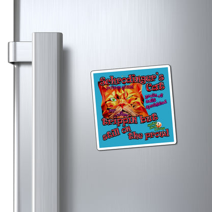 schrodinger's cat - Magnets - (turquoise)