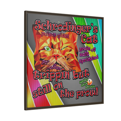 schrodinger's cat - framed canvas art (rainbow split)