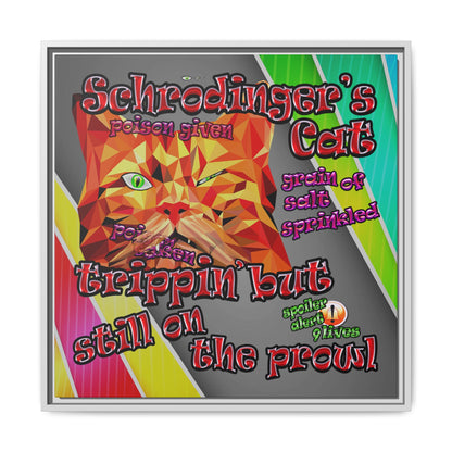 schrodinger's cat - framed canvas art (rainbow split)