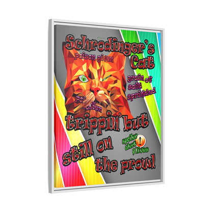 schrodinger's cat - framed canvas art (rainbow split)
